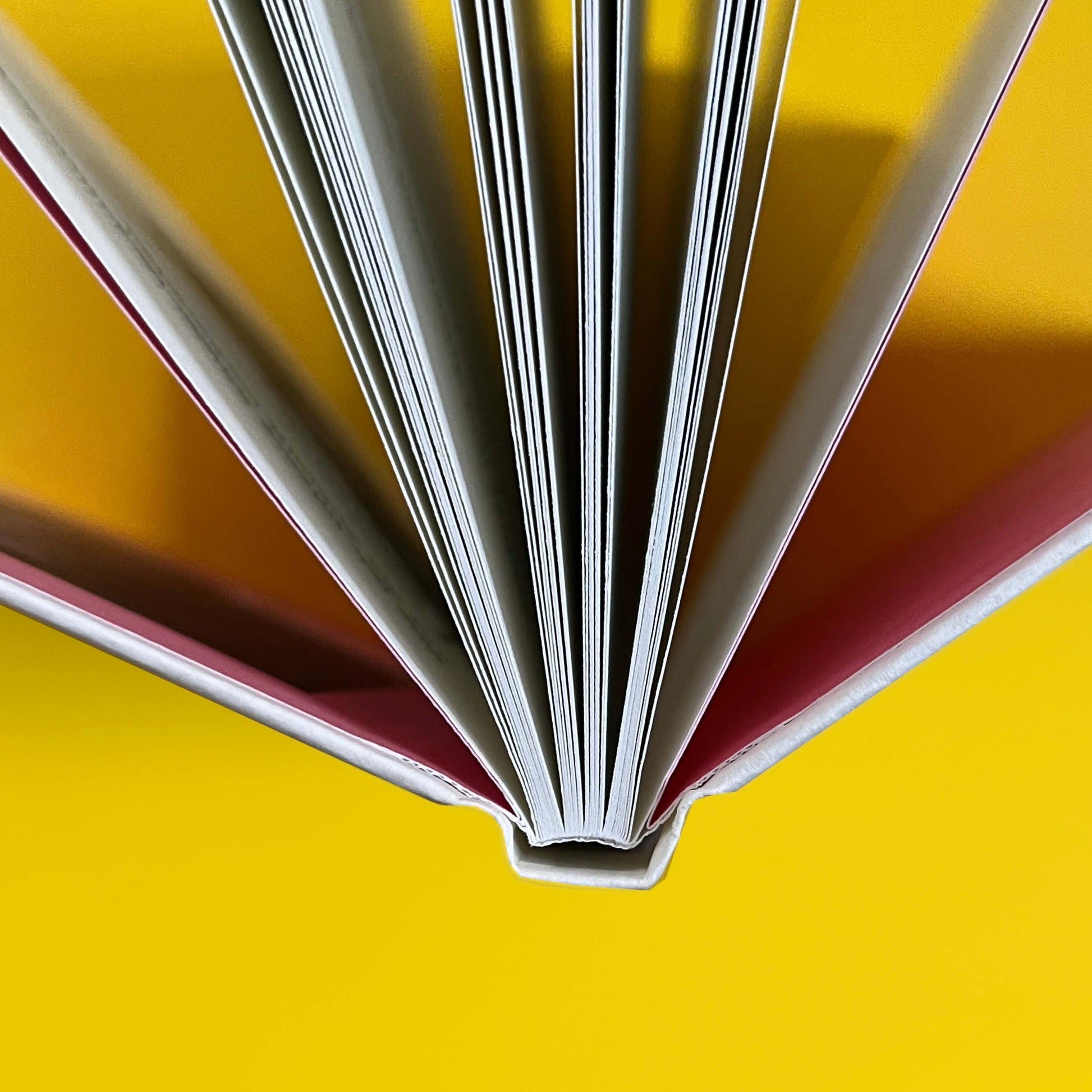 Ausschnitt von »Liebe Enkel oder die Kunst der Zuversicht«, aufgestellt von oben.