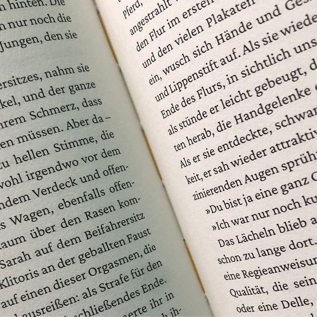 Ausschnitt der mittleren Seiten aus »Vertrauensübung«.