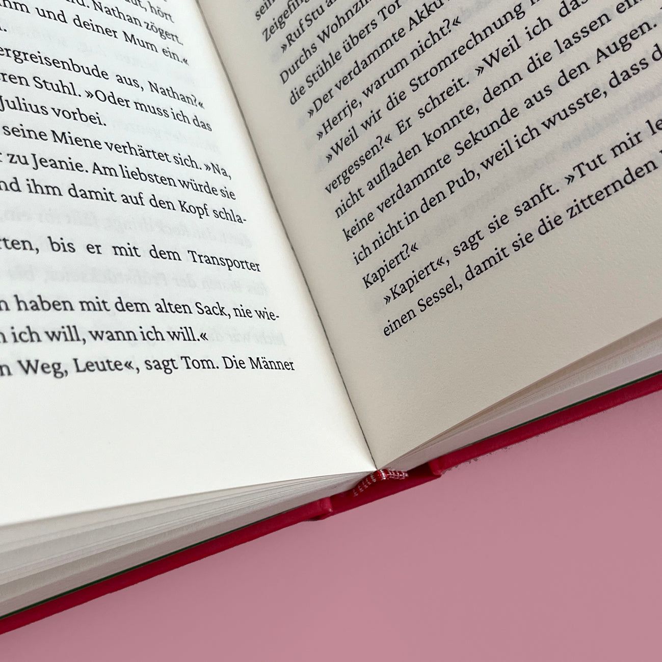 Ausschnitt von Seiten aus »Jeanie und Julius«.