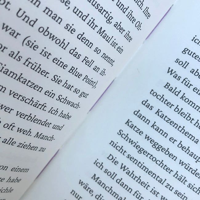 Fotografie von »Prima Facie« quer auf lila Untergrund.