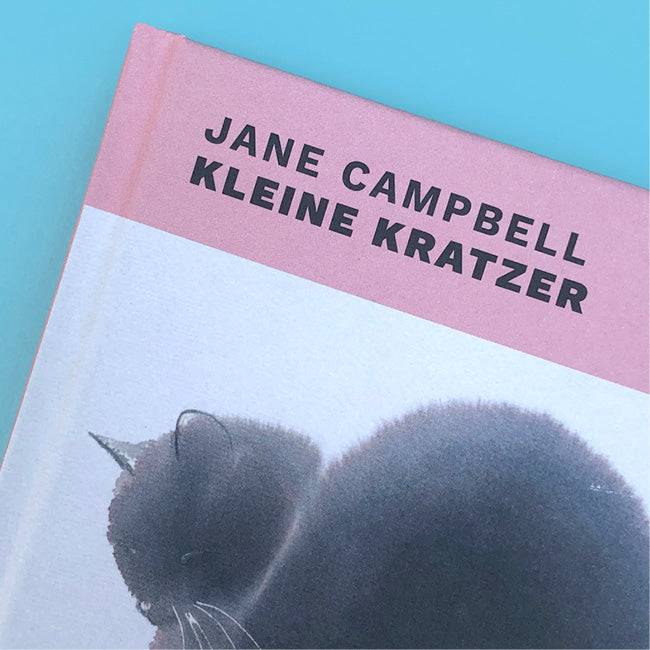 Ausschnitt des Covers von »Kleine Kratzer«.