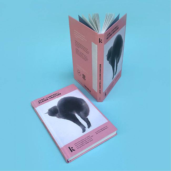 Foto von »Kleine Kratzer«, ein Buch liegend, eins aufgestellt daneben. 