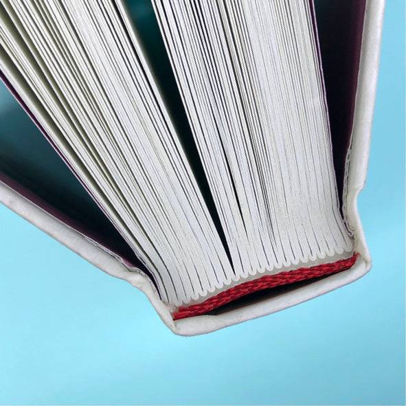 Ausschnitt der Buchseiten von »Unberechenbar« von oben. 