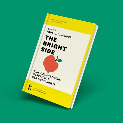 SUMIT PAUL-CHOUDHURY - THE BRIGHT SIDE