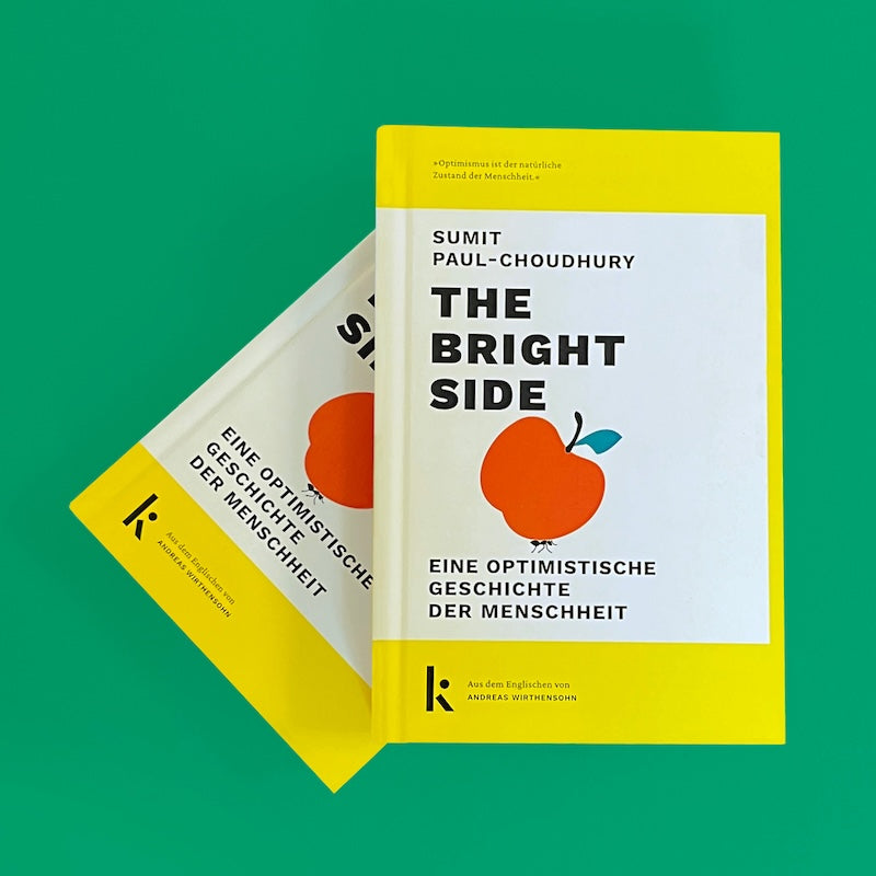 SUMIT PAUL-CHOUDHURY - THE BRIGHT SIDE