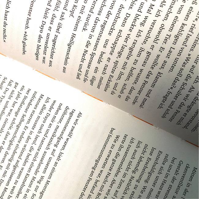 Ausschnitte der mittleren Seiten aus »Bruder«.
