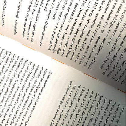 Ausschnitte der mittleren Seiten aus »Bruder«.